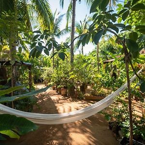 Hotel Villa Mozart y Macondo